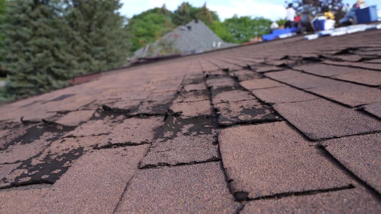 Best Flat Roofing  in Piqua, OH